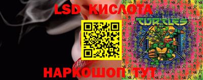 стаф Кандалакша