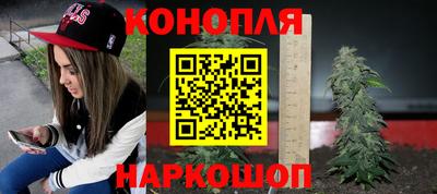 стаф Кандалакша