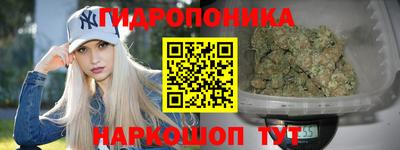 MDMA Premium VHQ Камышлов