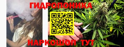 стаф Кандалакша