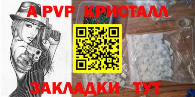 стаф Кандалакша