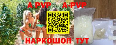 стаф Кандалакша